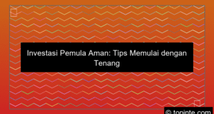 desain investasi pemula aman